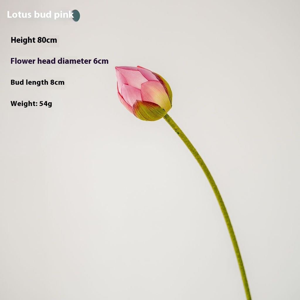 Fiori di loto Baccelli di loto