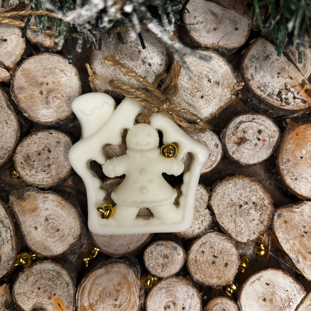 *Decorazioni Natalizie