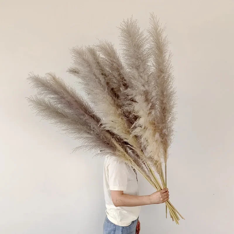 Large Tall Fluff Pampas 110-120cm Grass Natural Dried Flower