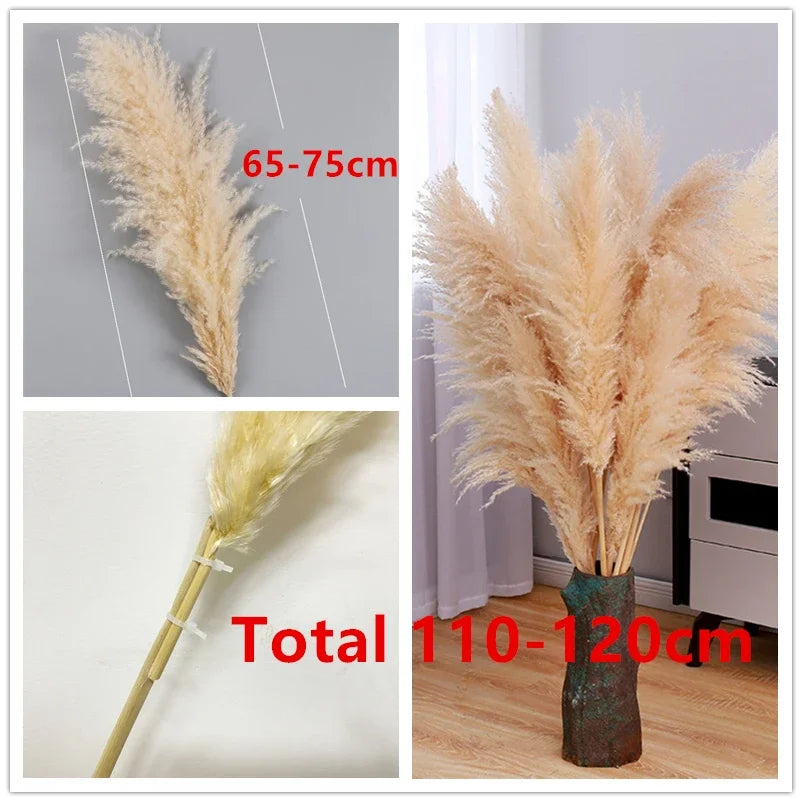 Large Tall Fluff Pampas 110-120cm Grass Natural Dried Flower