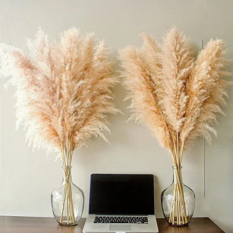Large Tall Fluff Pampas 110-120cm Grass Natural Dried Flower