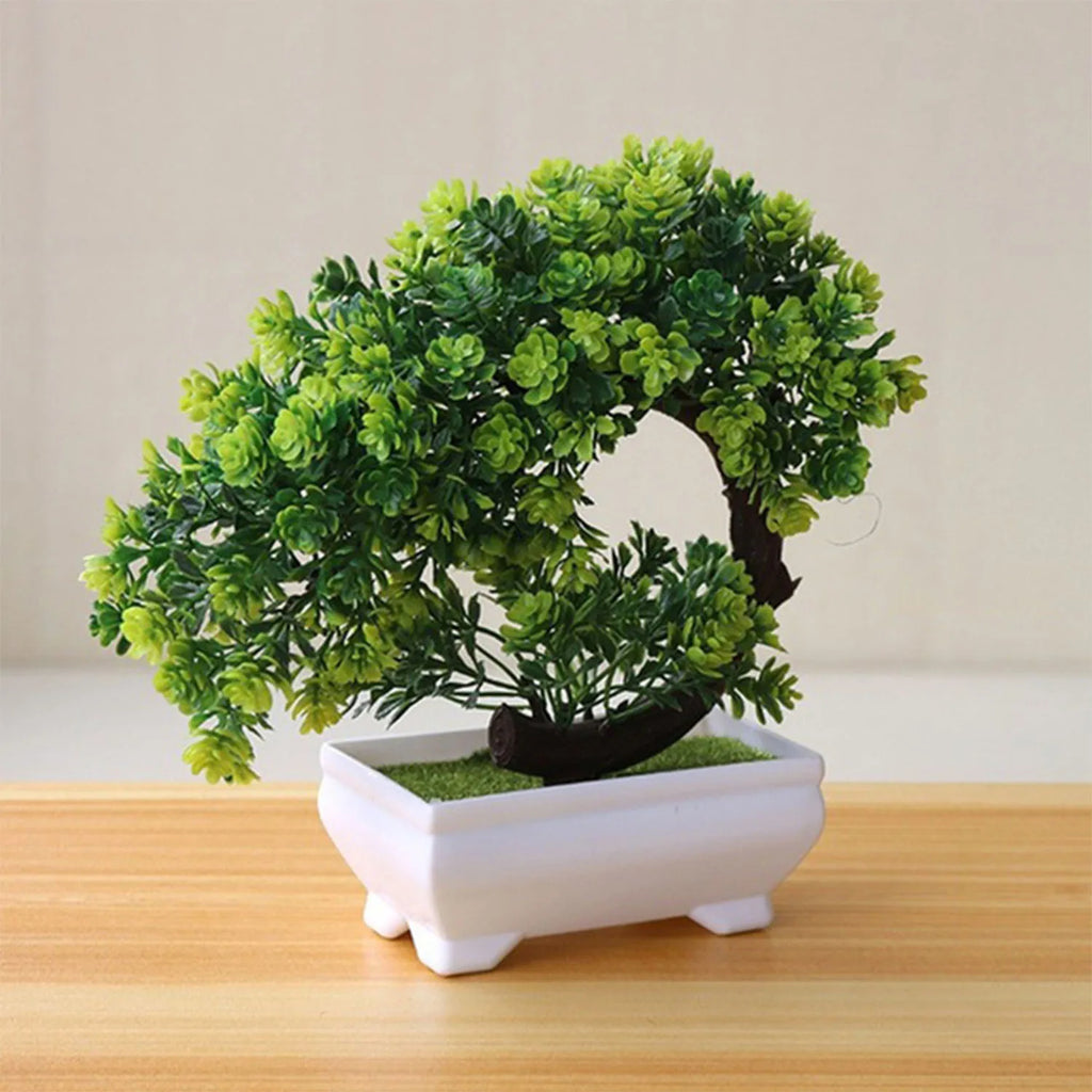 Piccolo albero, fiore, bonsai in vaso, decorazione per casa e ufficio.