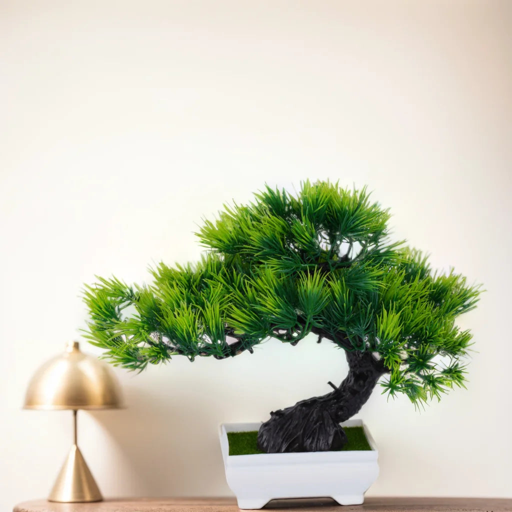 Piccolo albero, fiore, bonsai in vaso, decorazione per casa e ufficio.