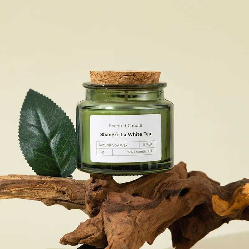 Candela per aromaterapia con piante naturali, senza fumo, in cera di soia verde, in vetro