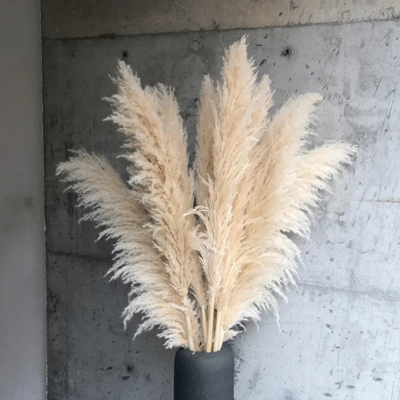 Large Tall Fluff Pampas 110-120cm Grass Natural Dried Flower
