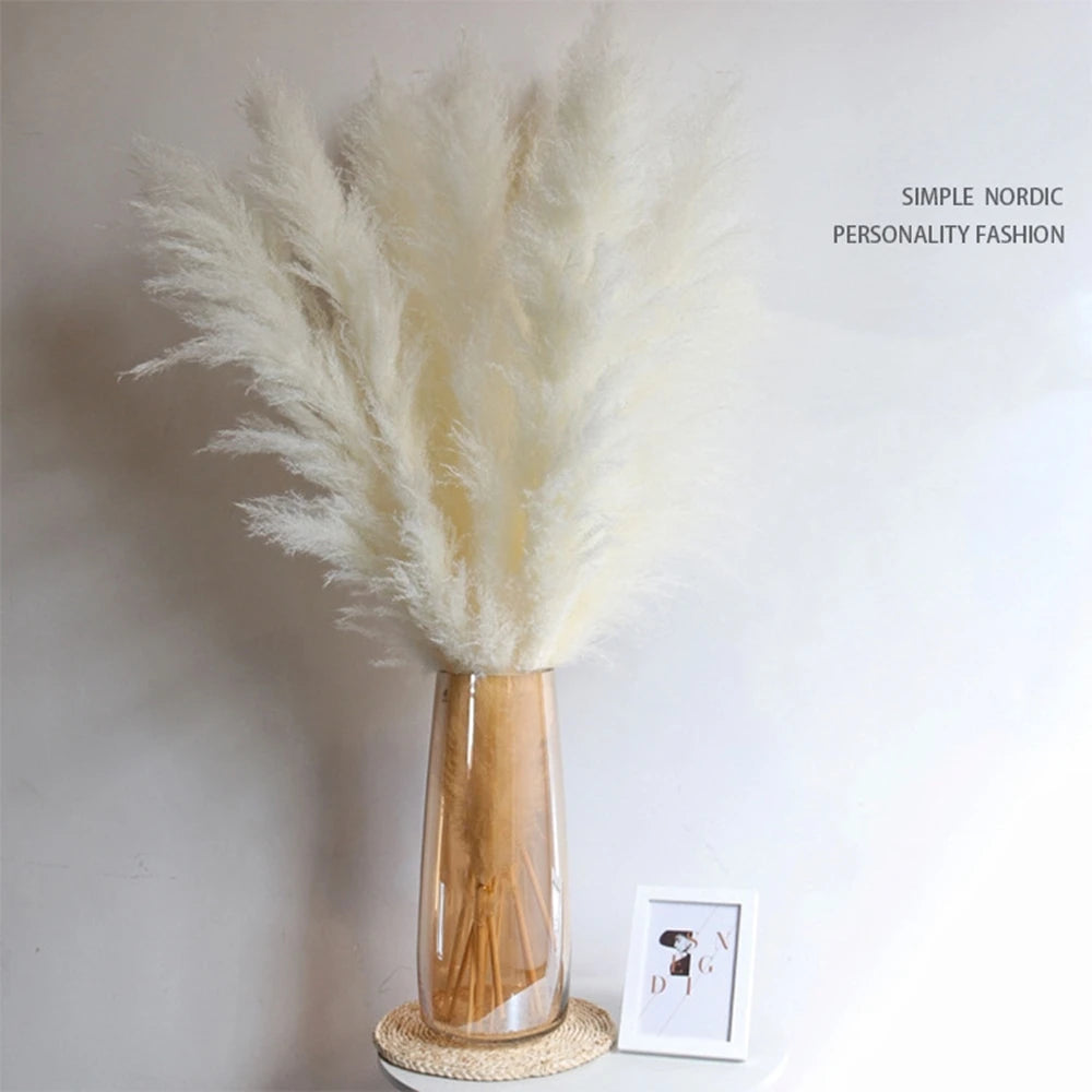 Erba della Pampa secca e soffice, grande pennacchio, 110-120 cm