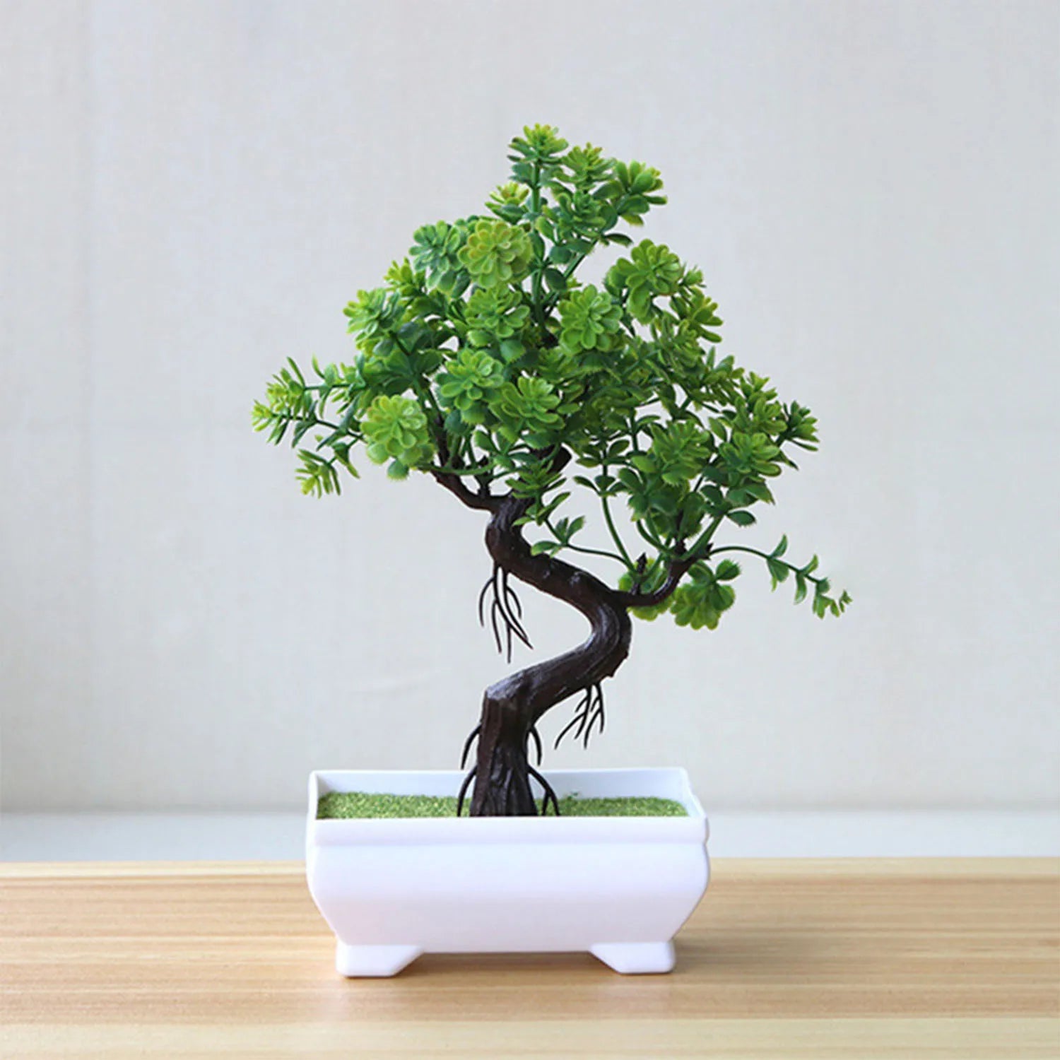 Piccolo albero, fiore, bonsai in vaso, decorazione per casa e ufficio.