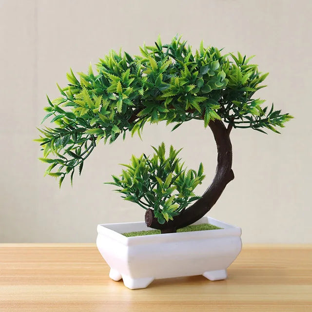 Piccolo albero, fiore, bonsai in vaso, decorazione per casa e ufficio.