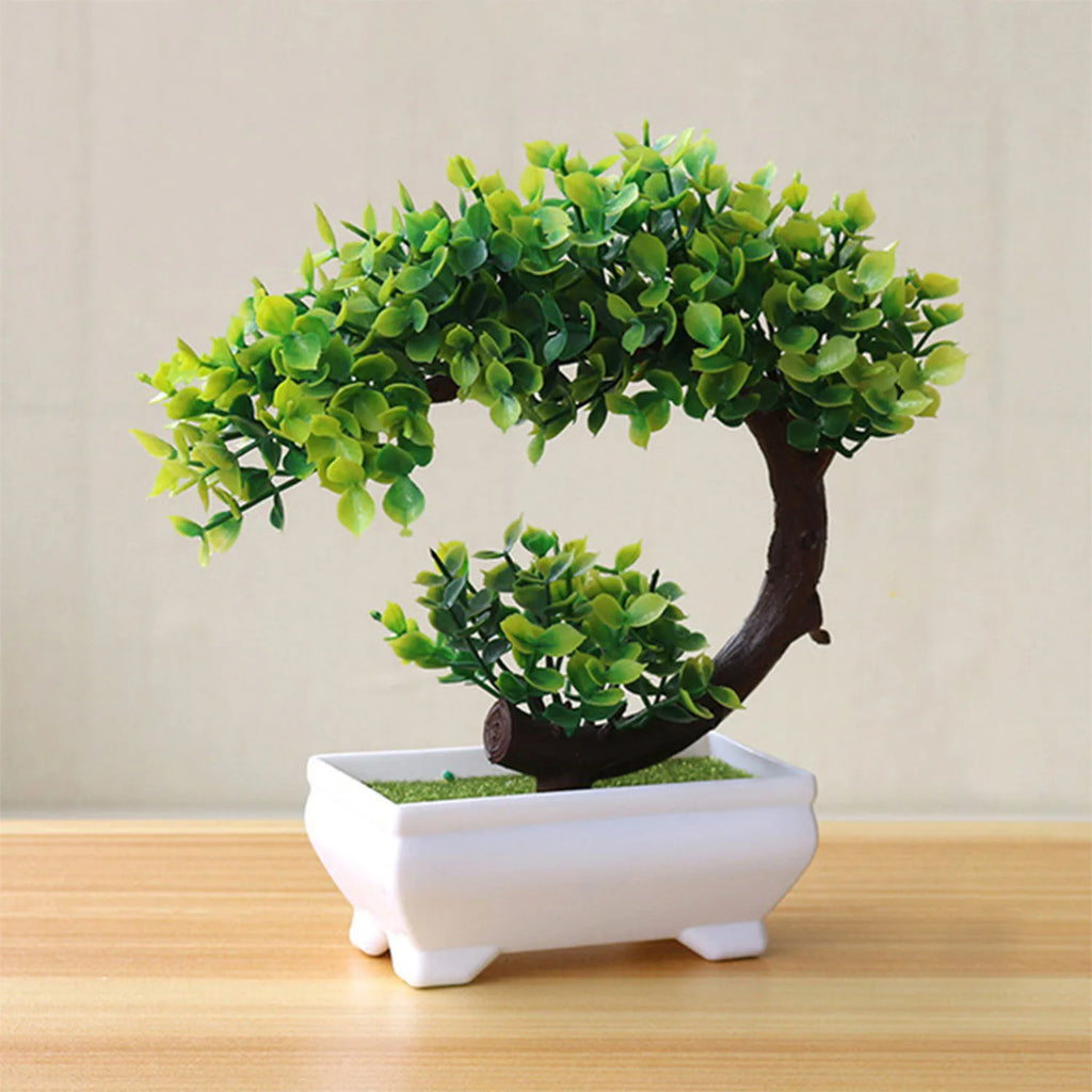 Piccolo albero, fiore, bonsai in vaso, decorazione per casa e ufficio.