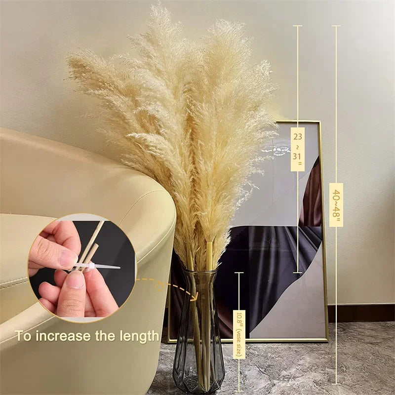 Large Tall Fluff Pampas 110-120cm Grass Natural Dried Flower