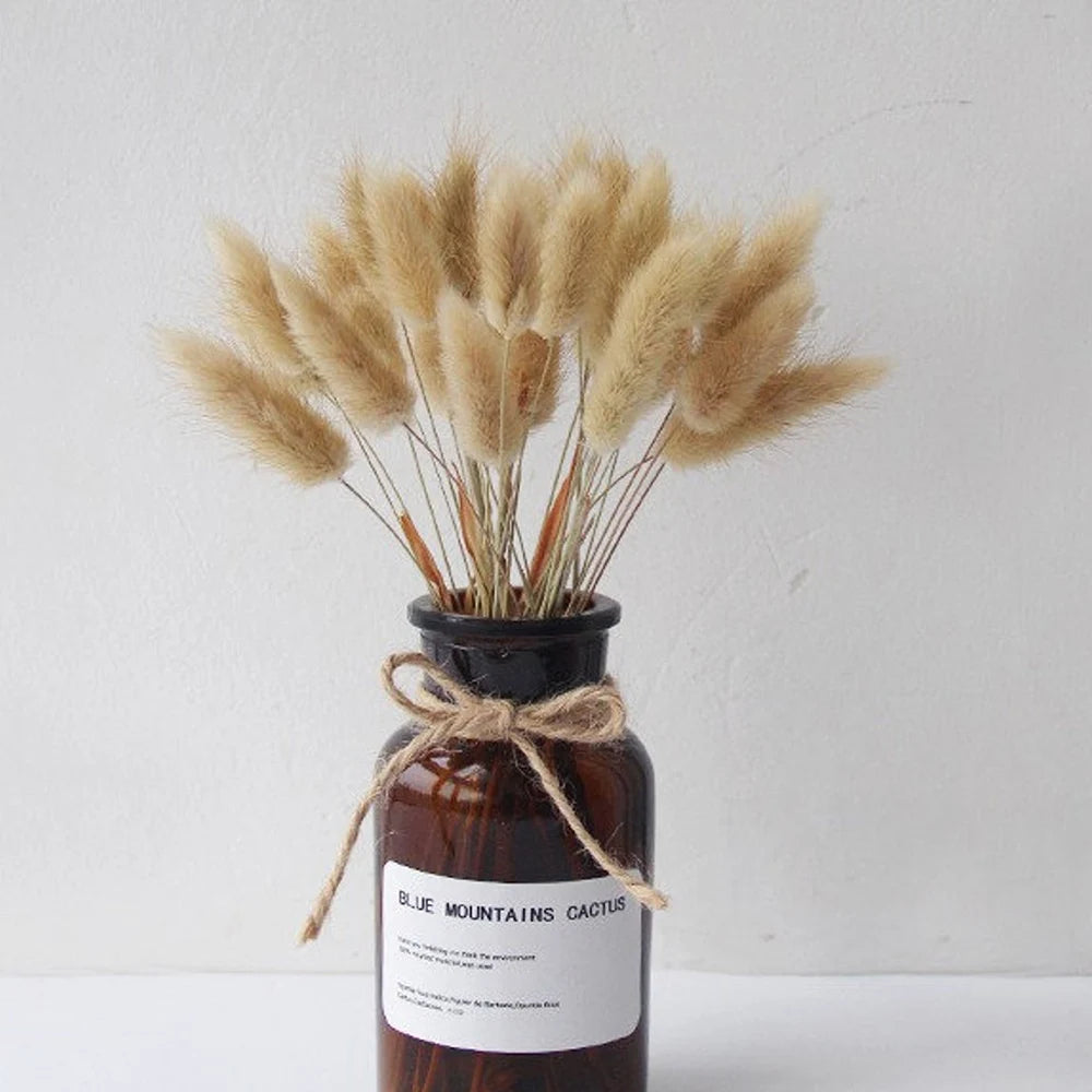 Spiga di grano vera, erba di coda di coniglio essiccata naturale, 50/100 pezzi