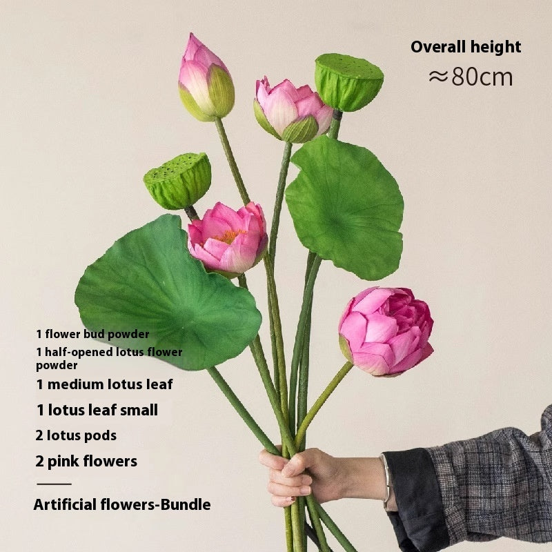 Fiori di loto Baccelli di loto