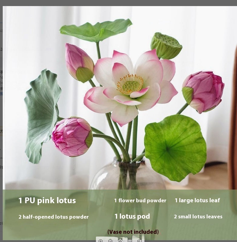 Fiori di loto Baccelli di loto