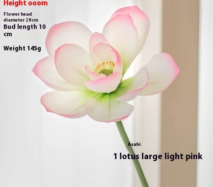 Fiori di loto Baccelli di loto