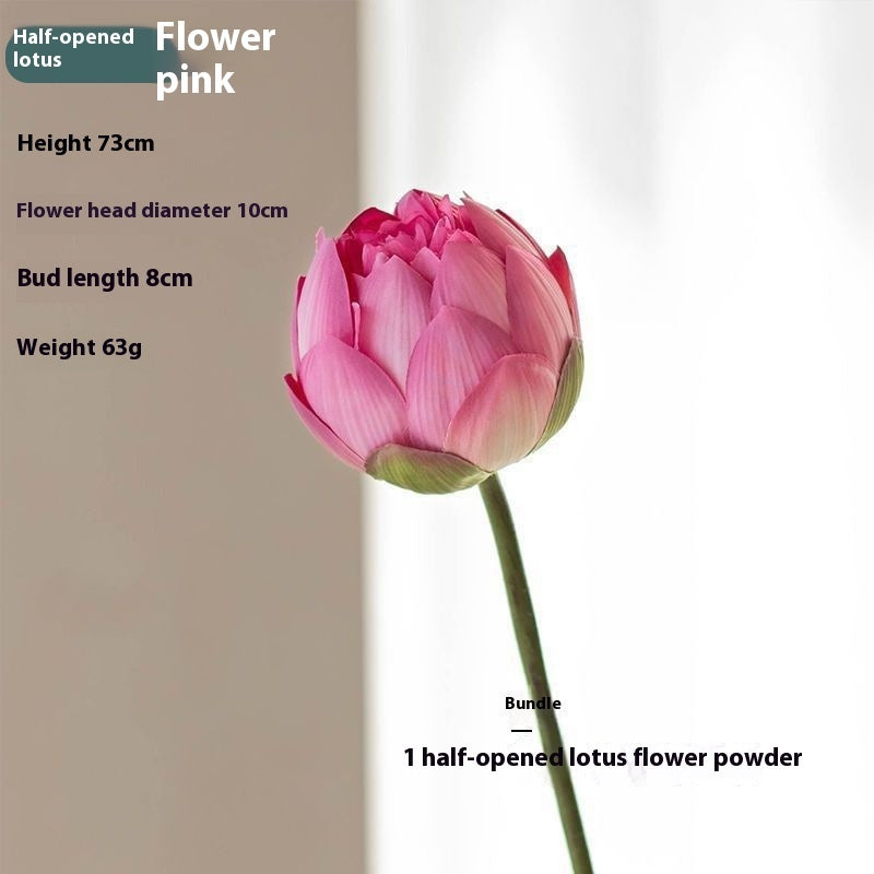 Fiori di loto Baccelli di loto