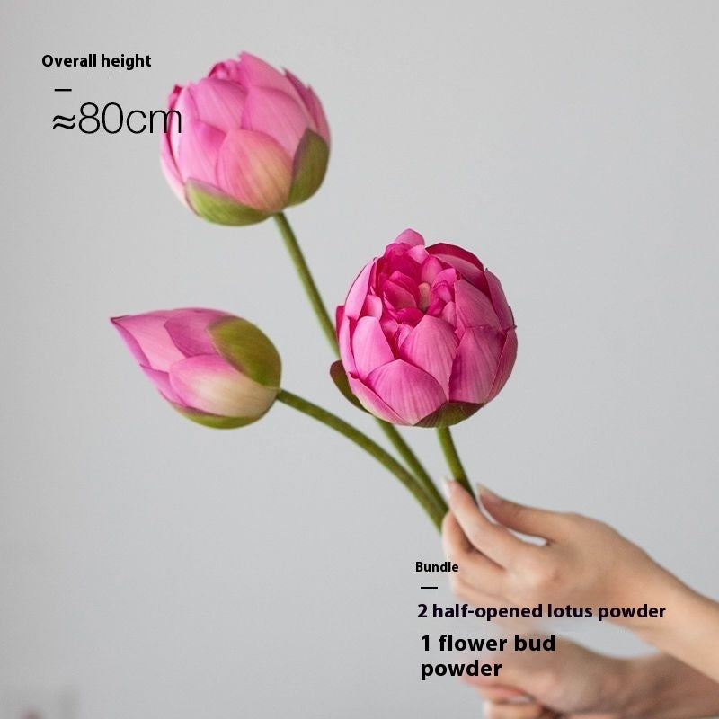 Fiori di loto Baccelli di loto