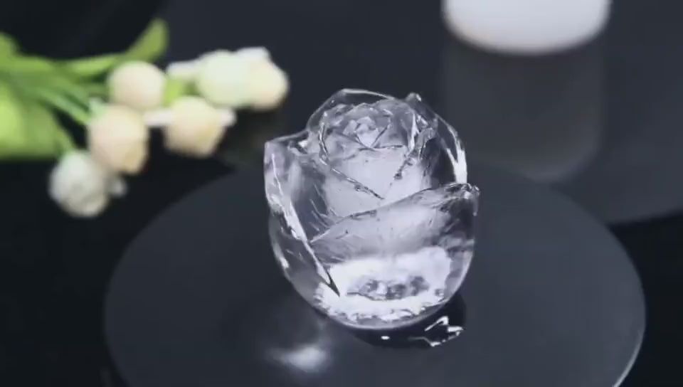 Silicone Ice Tray Black New Product Food Grade Sil