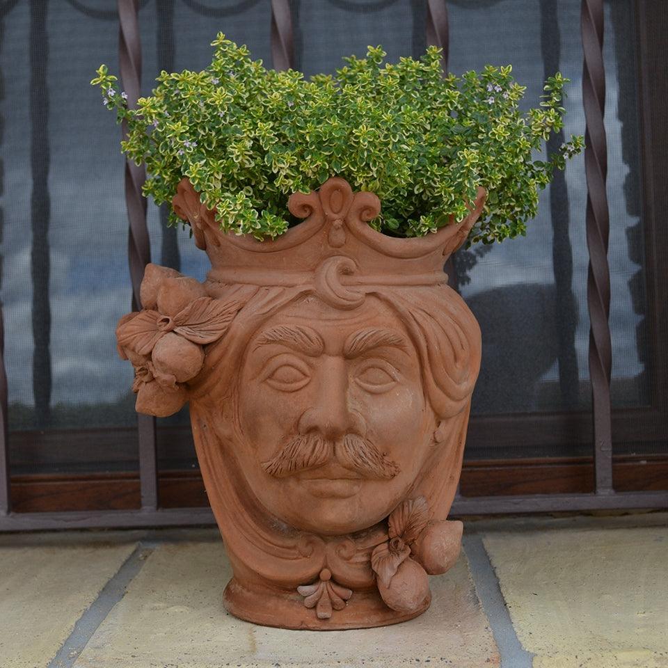 Testa h 25 limoni in terracotta maschio