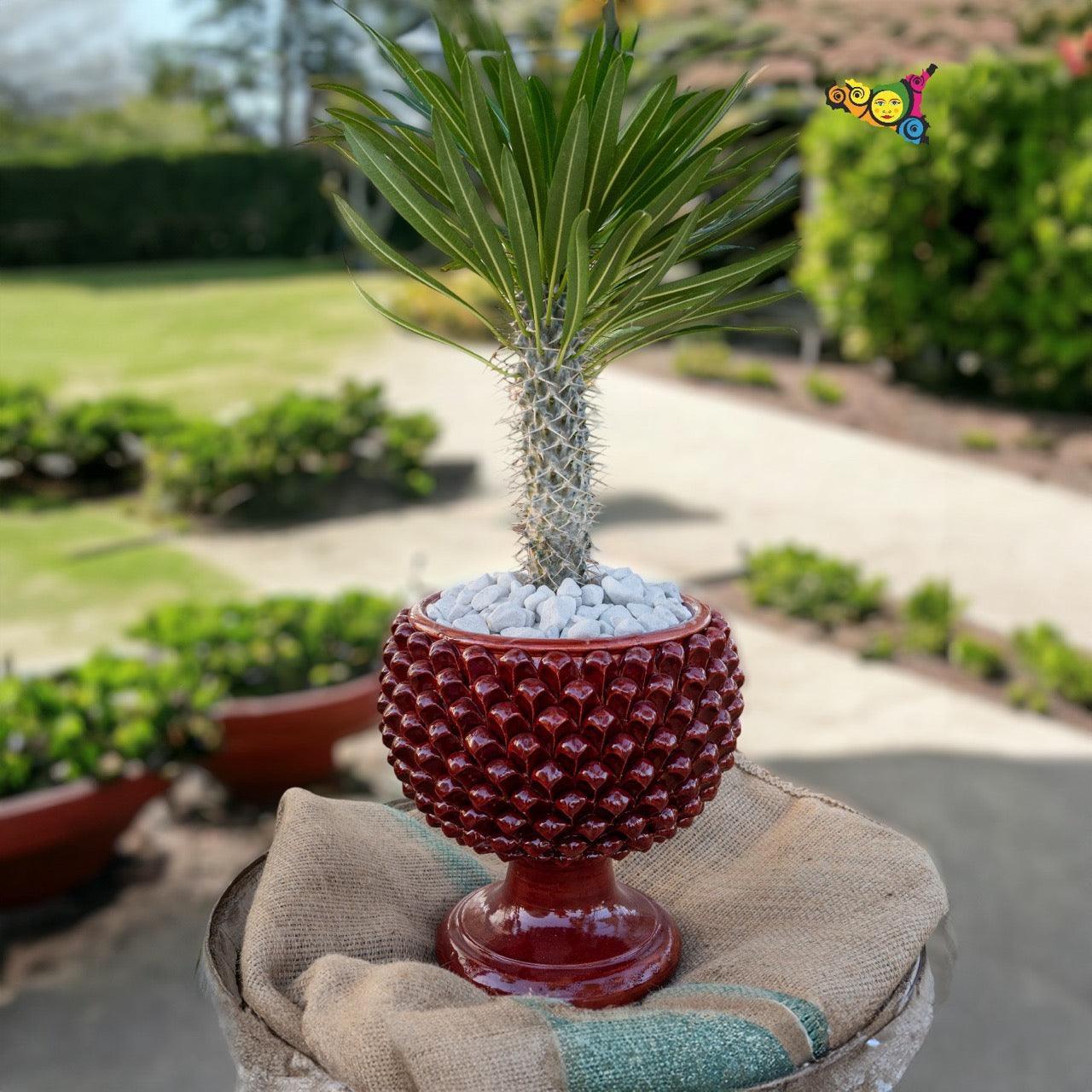 Vaso mezza pigna bordeaux in ceramica di Caltagirone